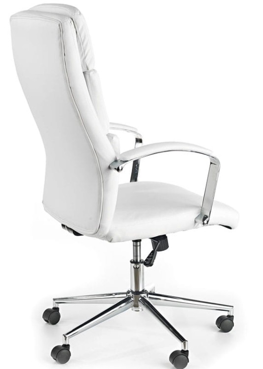 Fotel biurowy Aurelius-tył.jpg