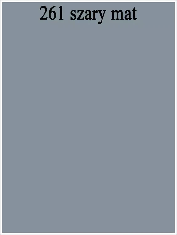 261 szary mat.webp
