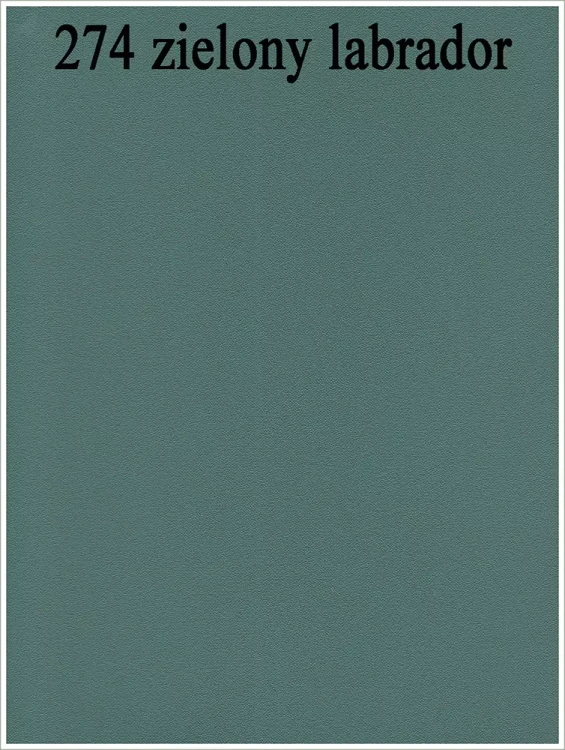 274 zielony Labrador.webp
