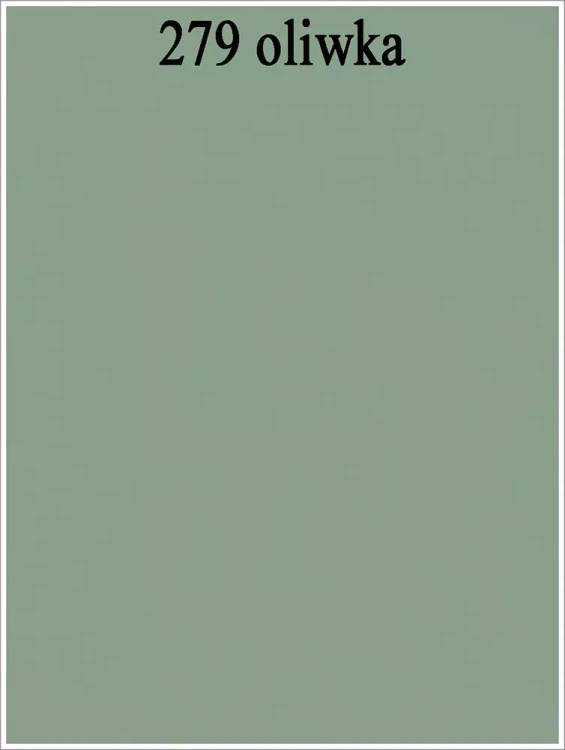 279 oliwka.webp