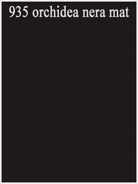 935 orchidea nera.webp